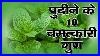 10-Benefits-Of-Mint-Leaves-In-Hindi-01-zuqy
