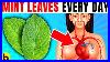 10-Powerful-Reasons-Why-You-Need-To-Have-Mint-Leaves-Every-Day-01-afj