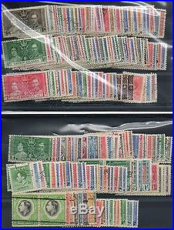 1937 Coronation complete omnibus mounted mint & fine used sets 404 stamps superb