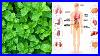7-Health-Benefits-Of-Mint-Why-Mint-Leaves-Are-Good-For-You-01-tkla
