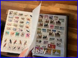 BIRDS ON STAMPS large stockbook 45 sides mint and used 2