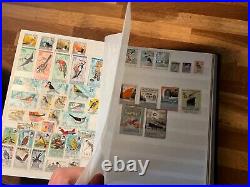 BIRDS ON STAMPS large stockbook 45 sides mint and used 2