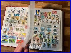 BIRDS ON STAMPS mint & used stockbook cv marked £2000+ 3 sides not shown 301