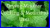 Drying-Mint-And-Medicinal-U0026-Culinary-Uses-01-ncmd