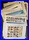 EDW1949SELL-USA-Nice-lot-of-almost-all-Full-Sheets-Used-on-cards-or-First-Day-01-aj