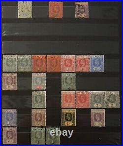 Early Fiji Mint And Used Stamps Lot In Stock Page King George V