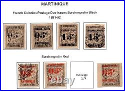 France & Colonies 1886-1946 Collection Of 450 Stamps Mint & Used On 50 Pages