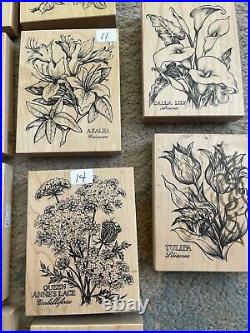 Large Lot PSX Botanical Rubber Stamps Hollyhock, Narcissus, Azalea, Wisteria & Mor
