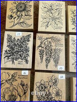 Large Lot PSX Botanical Rubber Stamps Hollyhock, Narcissus, Azalea, Wisteria & Mor