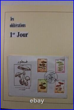 MUSHROOMS Fungi 2300 Covers 2 Box with Rare Items Topicals Stamp Collection Promo