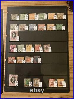 Malaya States With Tigers Mint And Used Stamps In 12 Stock Pages Lot M16