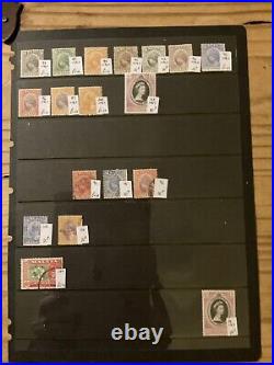 Malaya States With Tigers Mint And Used Stamps In 12 Stock Pages Lot M16