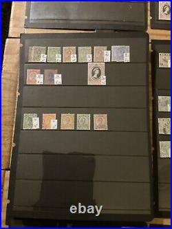 Malaya States With Tigers Mint And Used Stamps In 12 Stock Pages Lot M16