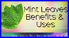 Mint-Leaves-Health-Benefits-And-Uses-01-wp