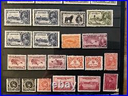 Newfoundland Stamps QV Onwards Mint & Used, CV£1700, Blocks & Singles #032