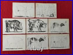 Pablo Picasso (Handmade) Lot of 8 Drawing on Old paper signed and stamped