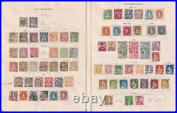 Switzerland Interesting Mint & Used Collection On Album Pages Z531